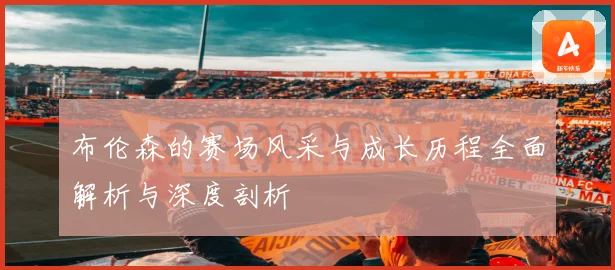 布伦森的赛场风采与成长历程全面解析与深度剖析