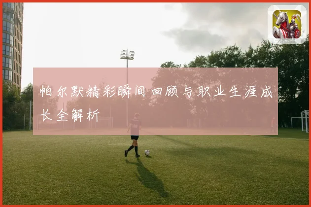 帕尔默精彩瞬间回顾与职业生涯成长全解析
