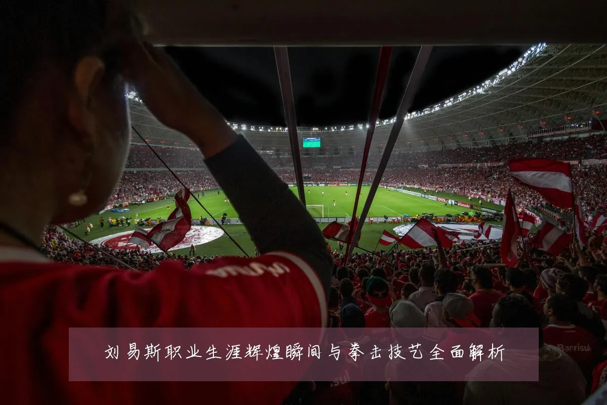 刘易斯职业生涯辉煌瞬间与拳击技艺全面解析