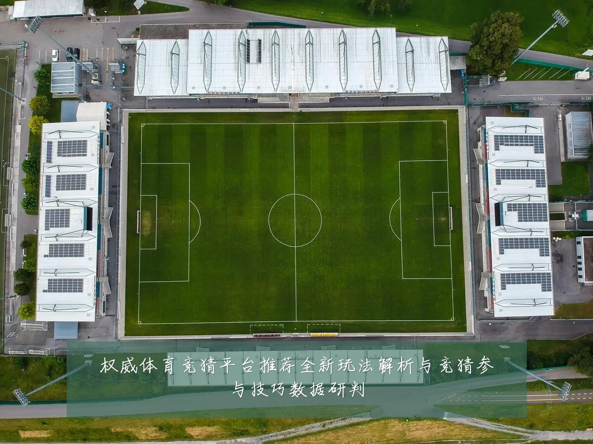权威体育竞猜平台推荐全新玩法解析与竞猜参与技巧数据研判